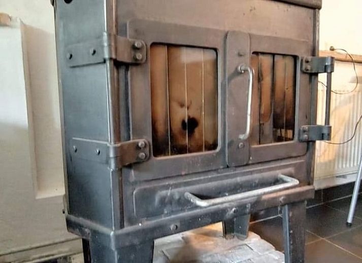 Ingang van Huisje in Zuidwolde, vakantieverblijf in Drenthe, gelegen in een serene, groene omgeving met uitnodigende paden.