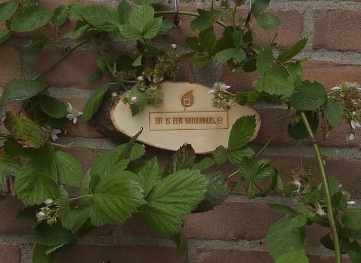 Eethoek in Huisje in Zuidwolde, vakantiehuis in Zuidwolde met uitzicht op de tuin.