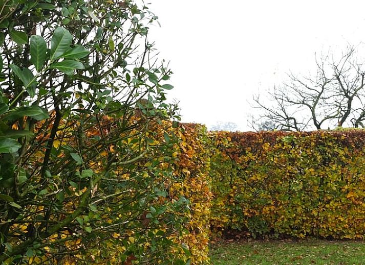 Stijlvolle keukeninrichting in Huisje in Zuidwolde, vakantiehuis in Zuidwest Drenthe.