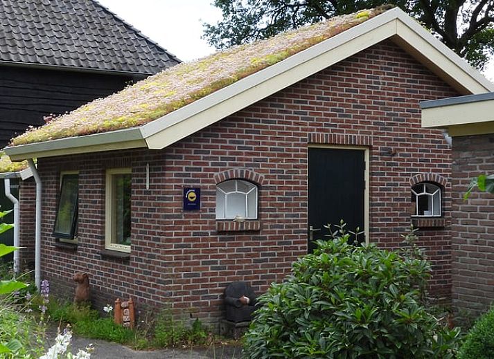Cottage in Zuidwolde, Ferienhaus inmitten gruener Natur in Suedwest-Drenthe, Drenthe.