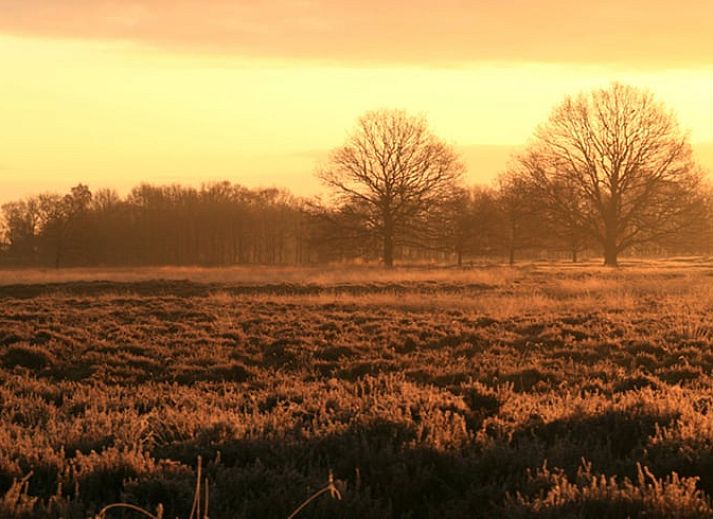 Rustikale Ecke von Cottage in Zuidwolde, Cottage mit Backsteinmauern, Suedwest-Drenthe, Drenthe.
