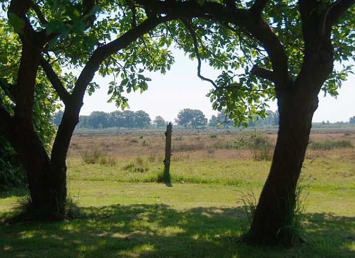 Kuechenecke in Cottage in Zuidwolde, Ferienhaus mit authentischen Details, Suedwest-Drenthe, Drenthe.
