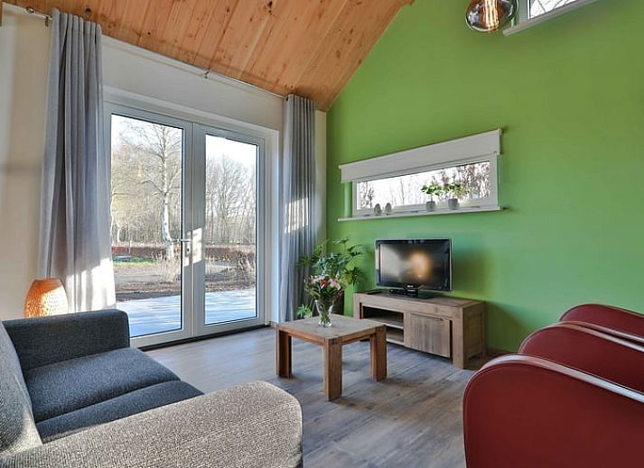 Gezellige woonkamer in Vakantiehuis in Zuidwolde, Drenthe met moderne inrichting en houten plafond.
