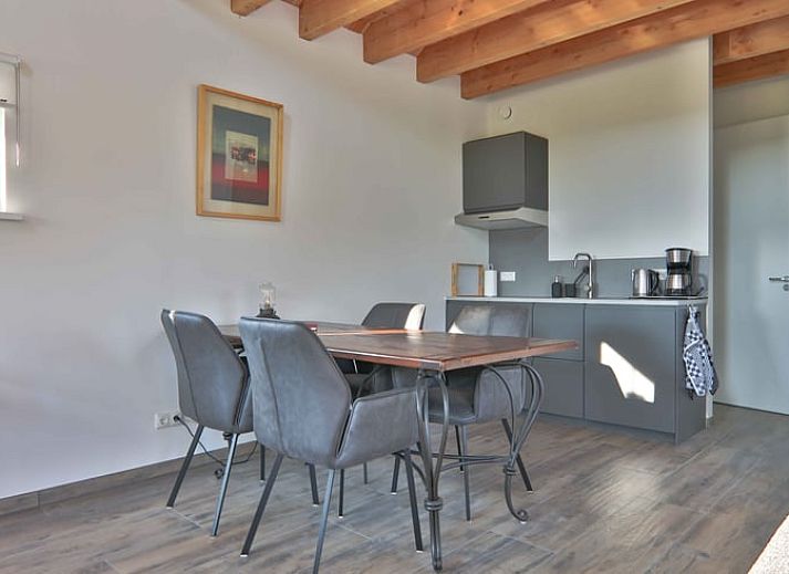 Ruim terras bij Vakantiehuis in Zuidwolde, Zuidwest Drenthe met uitzicht op groene omgeving.