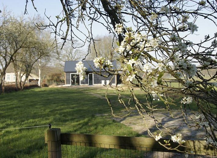 Prachtig uitzicht vanuit Vakantiehuis in Zuidwolde, Drenthe met grote ramen en veel daglicht.