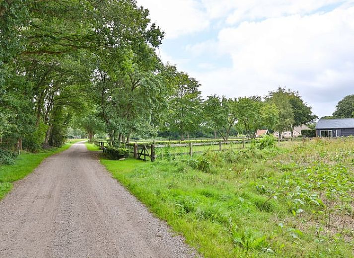 Prachtig uitzicht vanuit Vakantiehuis in Zuidwolde, Drenthe met grote ramen en veel daglicht.