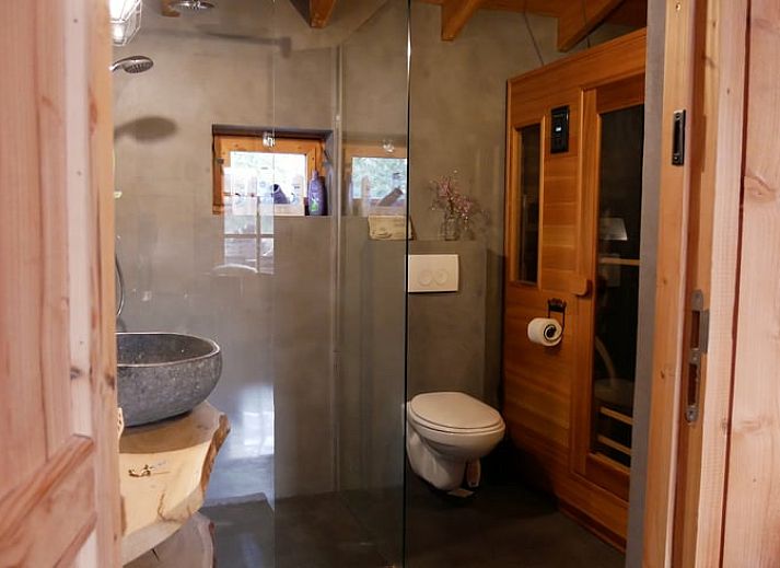 Vakantiehuisje in Zuidwolde omgeven door bomen en een serene vijver in Zuidwest Drenthe