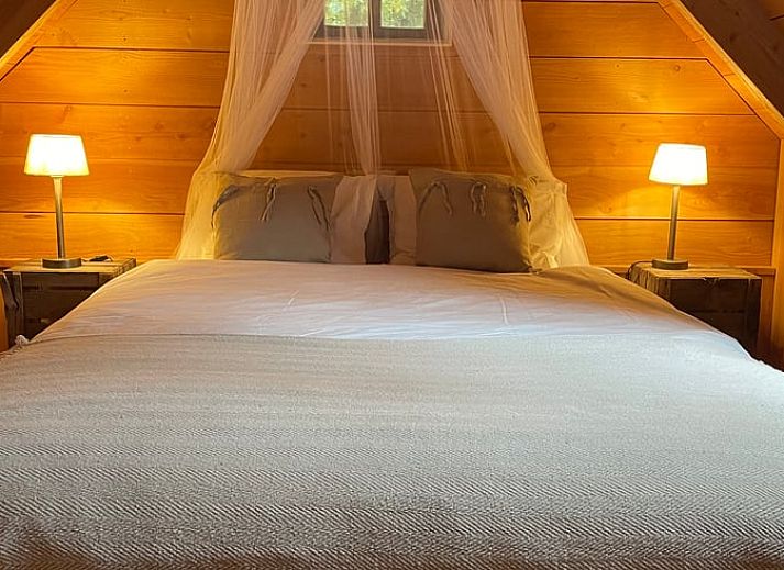 Vakantiehuisje in Zuidwolde omgeven door bomen en een serene vijver in Zuidwest Drenthe