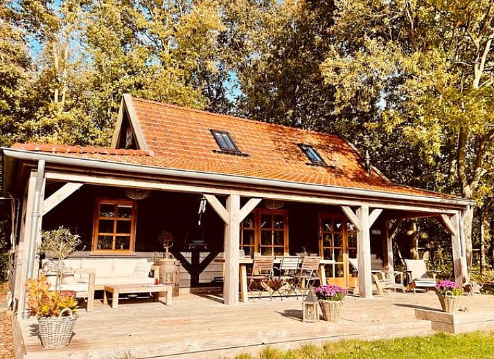 Gezellige binnenruimte met houten interieur in Vakantiehuisje in Zuidwolde, Drenthe