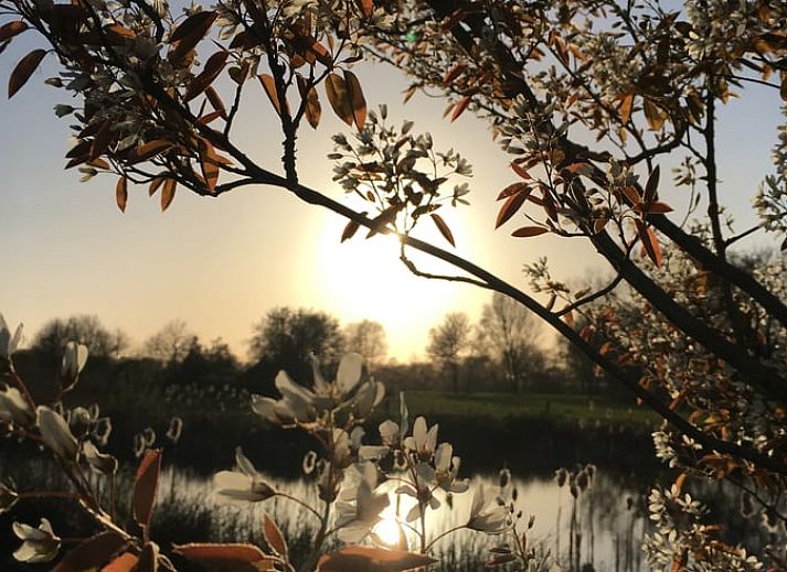 Gezellige binnenruimte met houten interieur in Vakantiehuisje in Zuidwolde, Drenthe