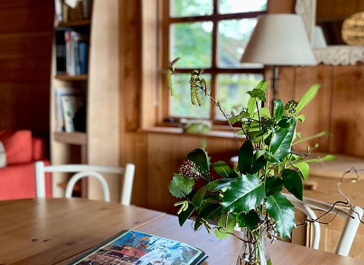 Gezellige binnenruimte met houten interieur in Vakantiehuisje in Zuidwolde, Drenthe