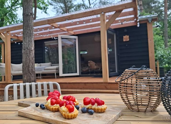 Unterkunft 200517 - Ferienhaus Zuidwest Drenthe - Vakantiehuis in Zuidwolde