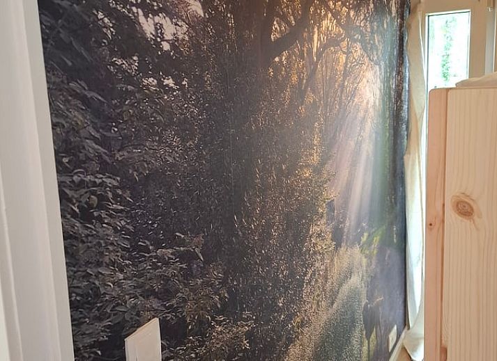 Unterkunft 200517 - Ferienhaus Zuidwest Drenthe - Vakantiehuis in Zuidwolde