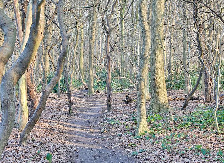 View of green fields surrounding DG1415, vacation home in Zuidwolde, Drenthe.
