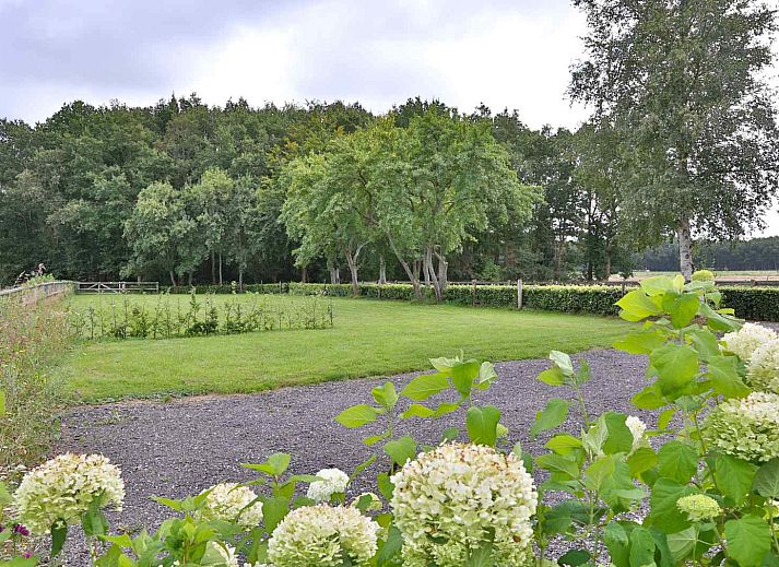 Spacious garden at DG1415, vacation home in Zuidwolde, surrounded by nature.