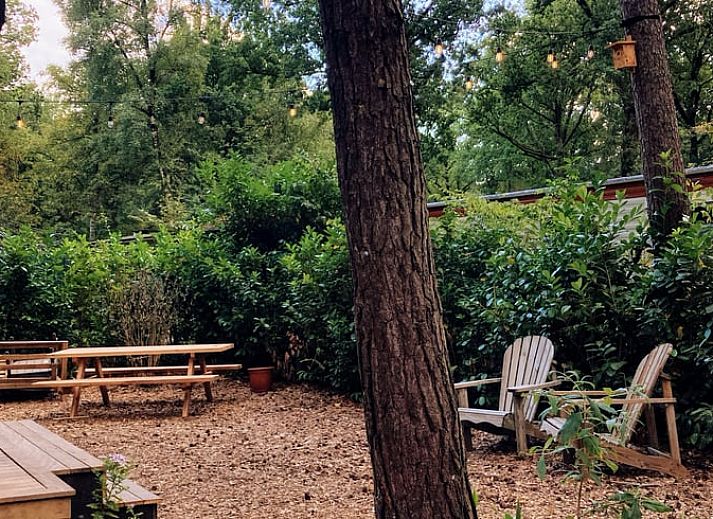 Gemuetliche Kueche in Cottage in Zuidwolde, Ferienhaus in Suedwest-Drenthe, mit Holzdielen und rustikaler Einrichtung fuer eine gemuetliche Atmosphaere.