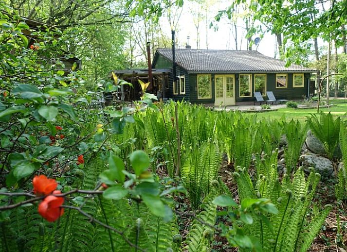 Guest house 200521 • Holiday property Zuidwest Drenthe • Huisje in Zuidwolde