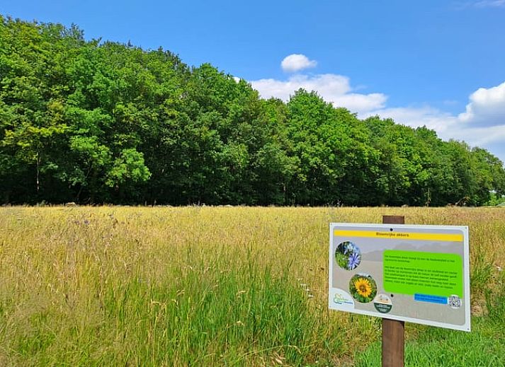 Moderne keuken in Vakantiehuis in Zuidwolde, Drenthe met houten balken en uitzicht op groene omgeving.