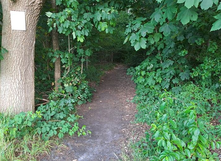 Geniet van een rustige avond op het terras van Vakantiehuis in Zuidwolde, Zuidwest Drenthe, met uitzicht op de natuurlijke omgeving.