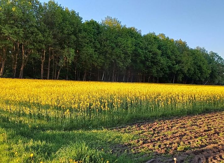 Gezellige zithoek in Vakantiehuis in Zuidwolde, Drenthe, met comfortabele fauteuils en sfeervolle verlichting in een moderne binnenruimte.