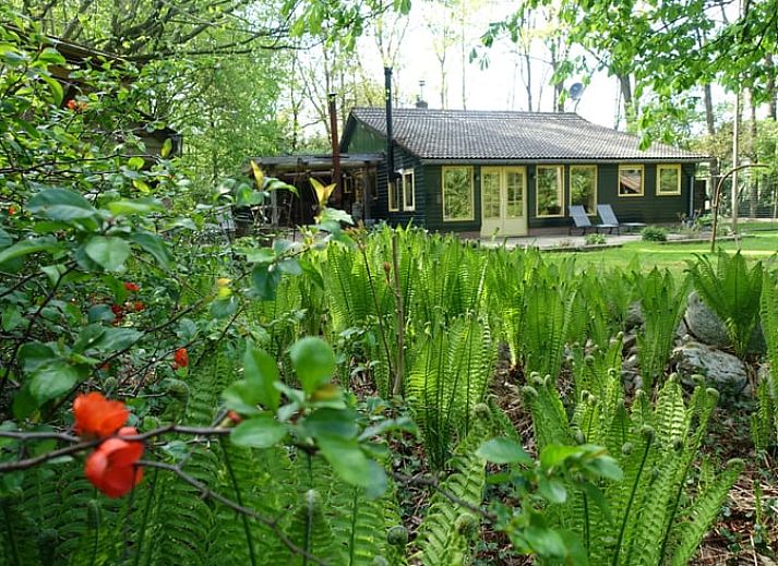 Huisje in Zuidwolde, een charmant vakantiehuis omringd door groene natuur in Zuidwest Drenthe, ideaal voor een ontspannen verblijf.