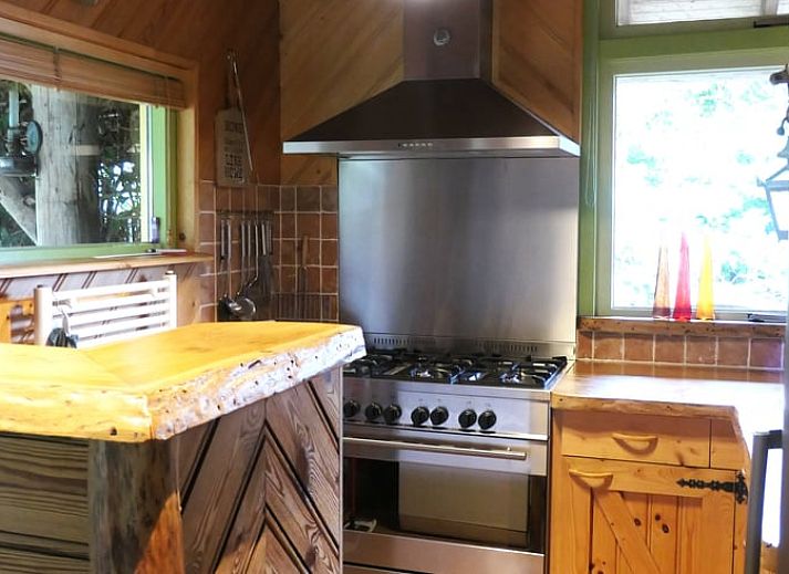 Gezellige woonkamer van Huisje in Zuidwolde, Drenthe, met rustieke inrichting en uitzicht op de groene omgeving.