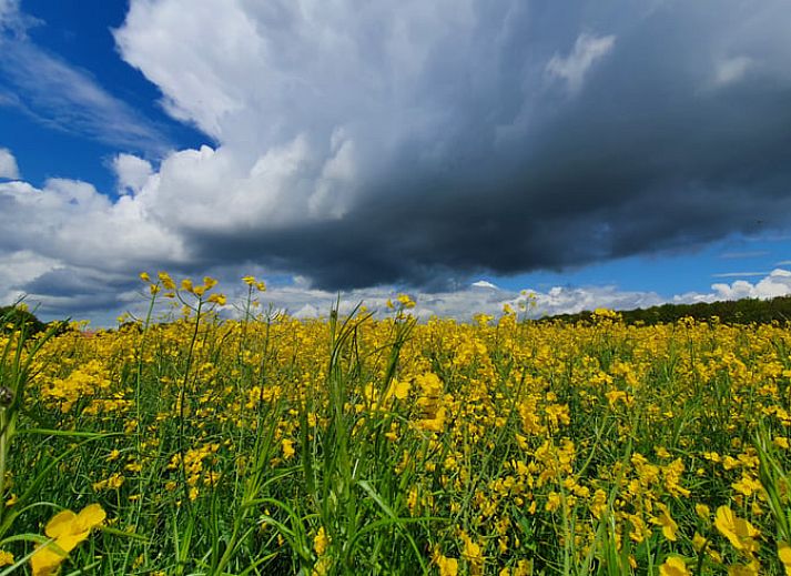 Gezellige woonkamer in Huisje in Zuidwolde, vakantiehuis in Zuidwest Drenthe, met rustieke houten meubels en warme inrichting.