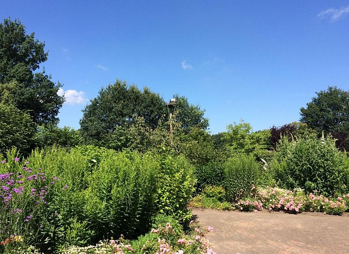 Unterkunft 200538 - Ferienhaus Zuidwest Drenthe - Vrijzicht