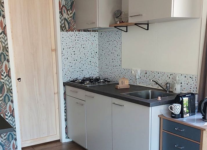 Gemuetliche Terrasse am Ferienhaus in Zuidwolde, umgeben von Natur in Drenthe.