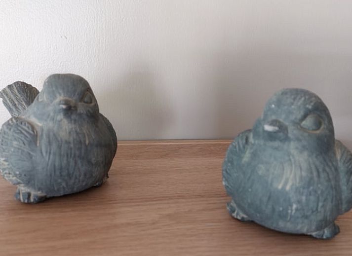 Gemuetliche Terrasse am Ferienhaus in Zuidwolde, umgeben von Natur in Drenthe.