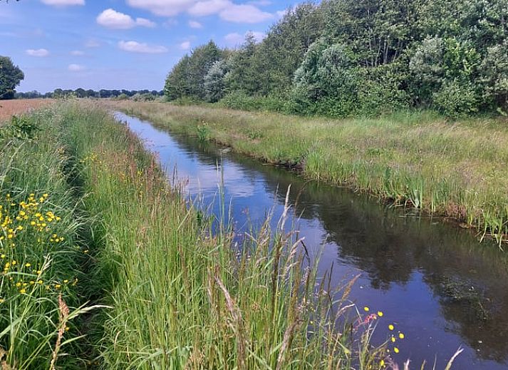 Seitenansicht des Ferienhauses in Zuidwolde, Ferienunterkunft in Drenthe.