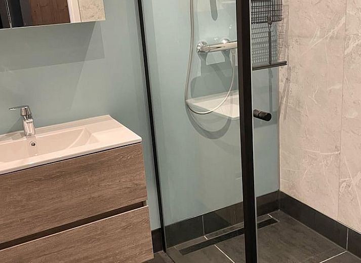 Huisje in Nieuweroord, vakantiehuis in Zuidwest Drenthe met uitzicht op een serene tuin en houten brug.