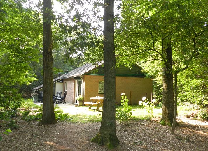 Guest house 200706 • Holiday property Zuidwest Drenthe • huisje in ruinen