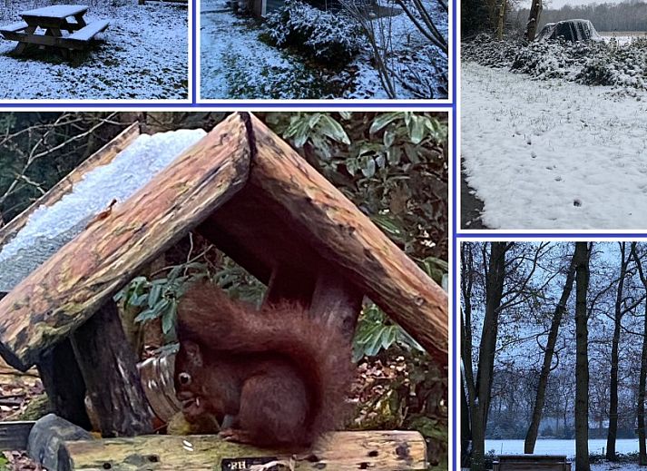 Unterkunft 200706 - Ferienhaus Zuidwest Drenthe - huisje in ruinen