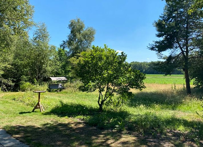 Unterkunft 200708 - Ferienhaus Zuidwest Drenthe - Vakantiehuis in Ruinen