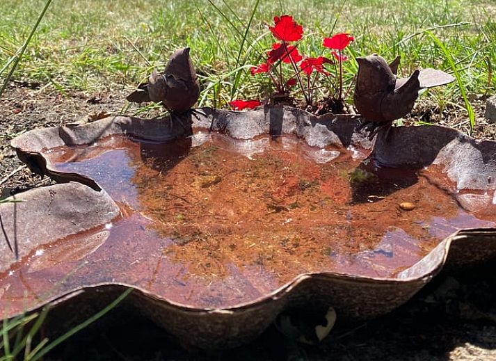 Unterkunft 200708 - Ferienhaus Zuidwest Drenthe - Vakantiehuis in Ruinen