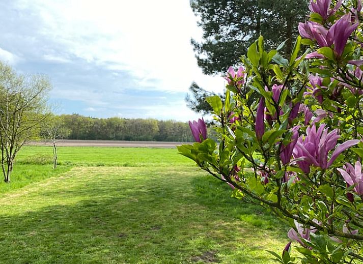Unterkunft 200708 - Ferienhaus Zuidwest Drenthe - Vakantiehuis in Ruinen