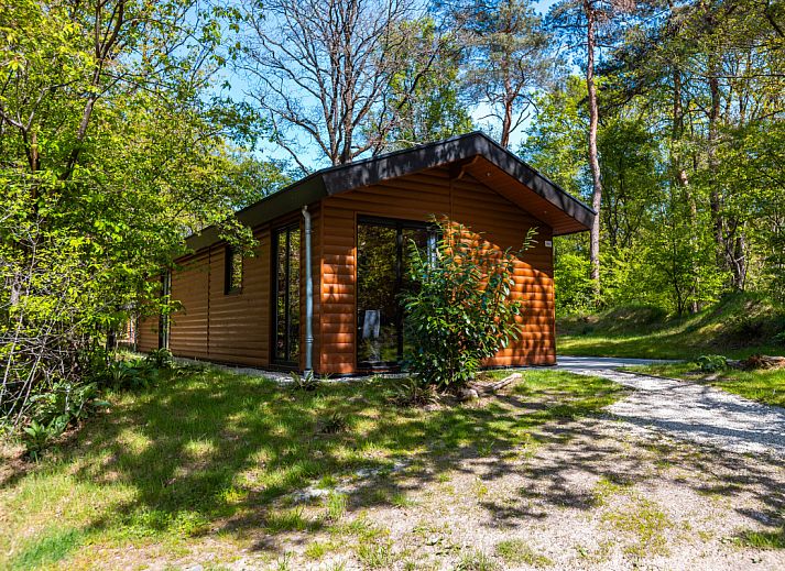 Verblijf 2007115 • Vakantiewoning Zuidwest Drenthe • Wellness Lodge Wood XL