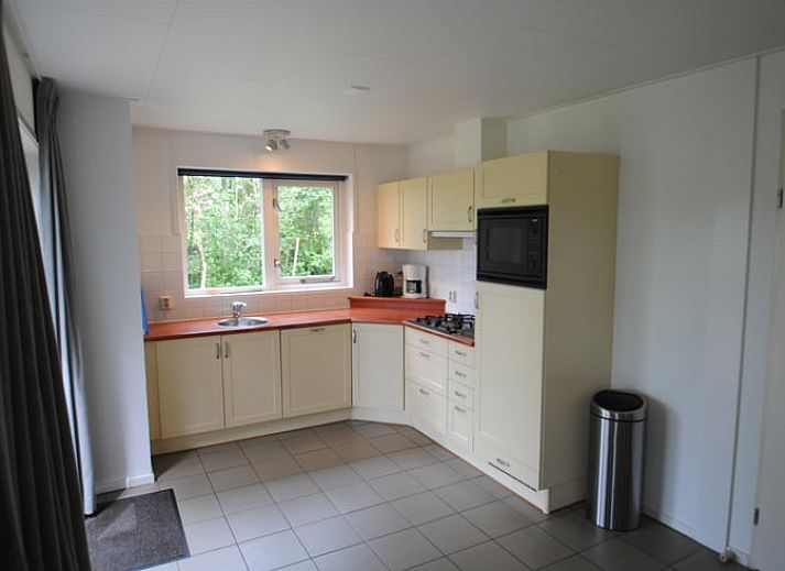 Vakantiehuis in Ruinen, gelegen in het groene hart van Zuidwest Drenthe, biedt een charmant terras en serene bosrijke omgeving.