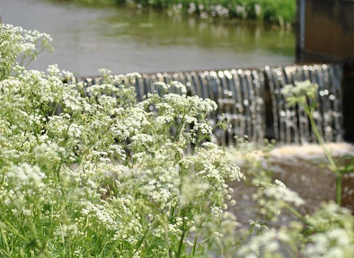 Gezellige woonkamer van Vakantiehuis in Ruinen, Zuidwest Drenthe, met comfortabele banken en sfeervolle inrichting.