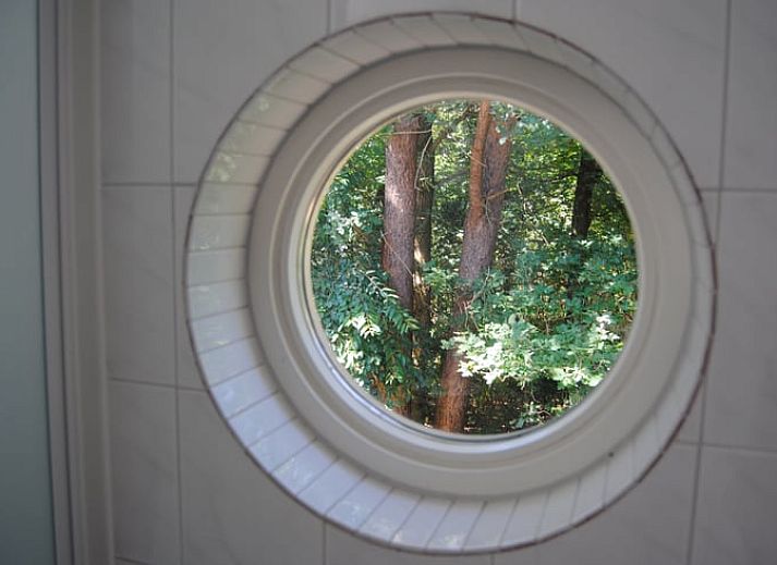 Geniet van de serene natuur rondom het Vakantiehuis in Ruinen, gelegen in het groene landschap van Zuidwest Drenthe, Drenthe.