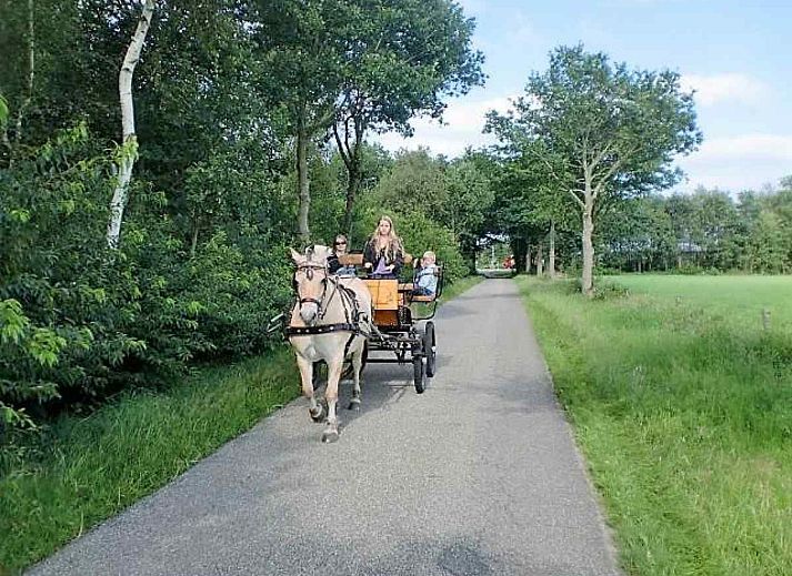 Vakantiehuis DG095 in Ruinen, Zuidwest Drenthe, omgeven door groen en rust.