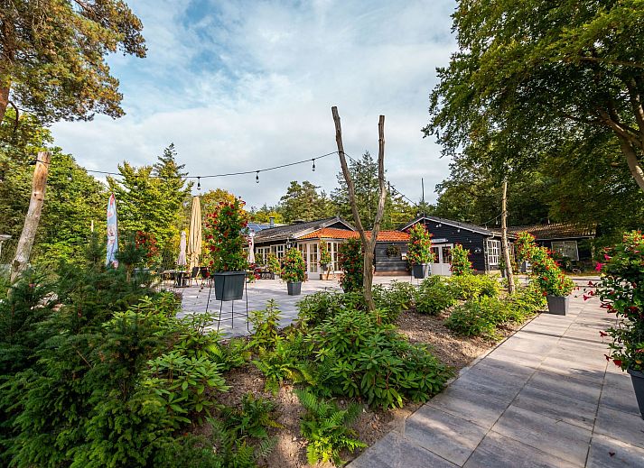 Verblijf 2007155 - Vakantiewoning Zuidwest Drenthe - Vakantiehuis De Wiltzangh - Bosrand Wellness Cabin Premium |
