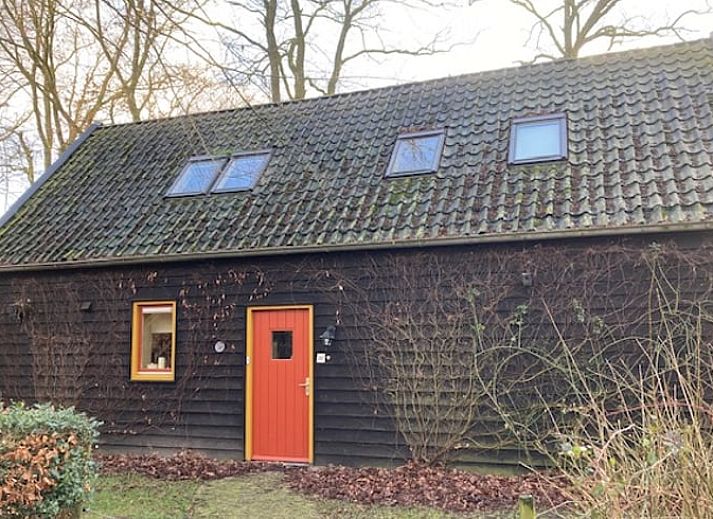 Blick auf die Umgebung des Ferienhauses in Ruinen, Drenthe.