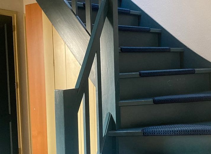 Natuerliche Umgebung mit Vogelhaus im Ferienhaus in Ruinen, Drenthe.