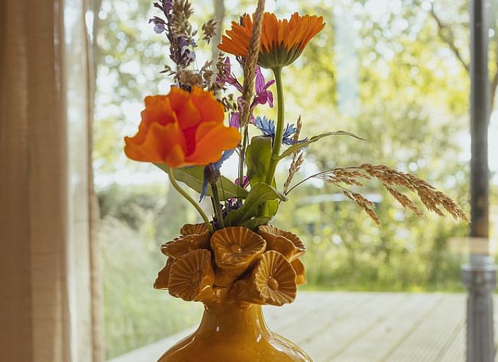 Huisje in Ruinen, ein charmantes Ferienhaus im Suedwesten von Drenthe, bietet eine ruhige Umgebung mit herrlichem Blick auf die gruene Natur.