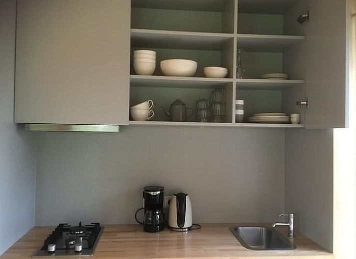 Huisje in Ruinen, ein Ferienhaus im Suedwesten von Drenthe, bietet eine ruhige Umgebung mit friedlicher Natur und entspannender Atmosphaere.