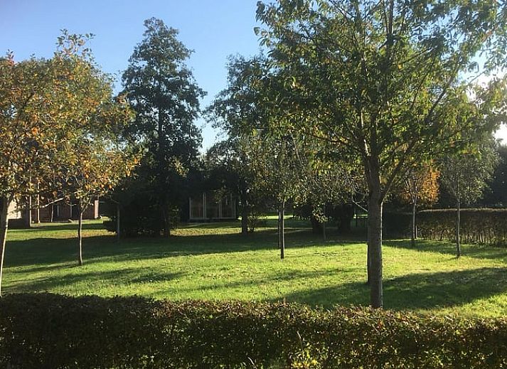 Gemuetliches Schlafzimmer in Huisje in Ruinen, Ferienhaus in Suedwest-Drenthe. Bequemes Bett und ruhige Atmosphaere fuer ultimative Entspannung.