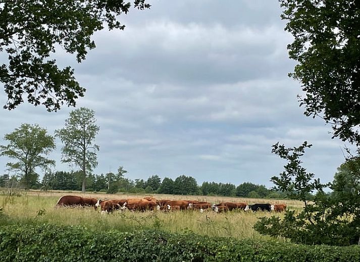 Komfortables Schlafzimmer im Ferienhaus in Ruinen, Suedwest-Drenthe. Ferienhaus mit luxurioesen Handtuechern und ruhiger Atmosphaere fuer einen erholsamen Aufenthalt.
