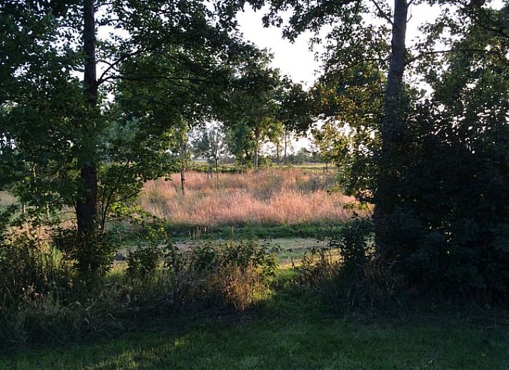 Komfortables Schlafzimmer im Ferienhaus in Ruinen, Suedwest-Drenthe. Ferienhaus mit luxurioesen Handtuechern und ruhiger Atmosphaere fuer einen erholsamen Aufenthalt.